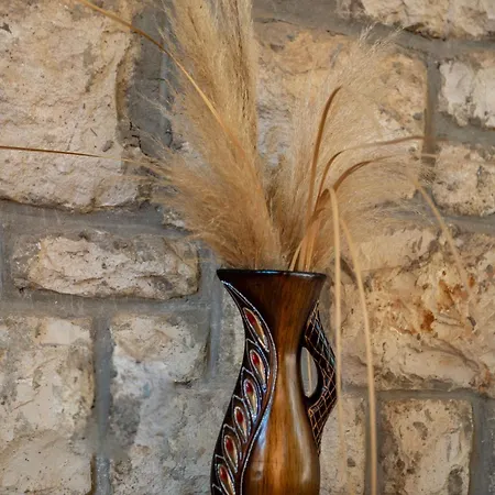 فيلة Regi