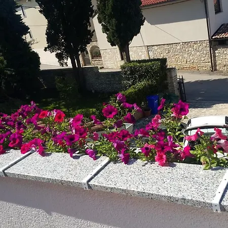 Regi Medolino