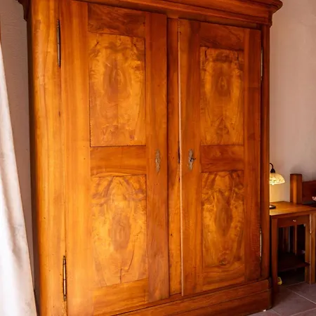 Regi * ميدولين